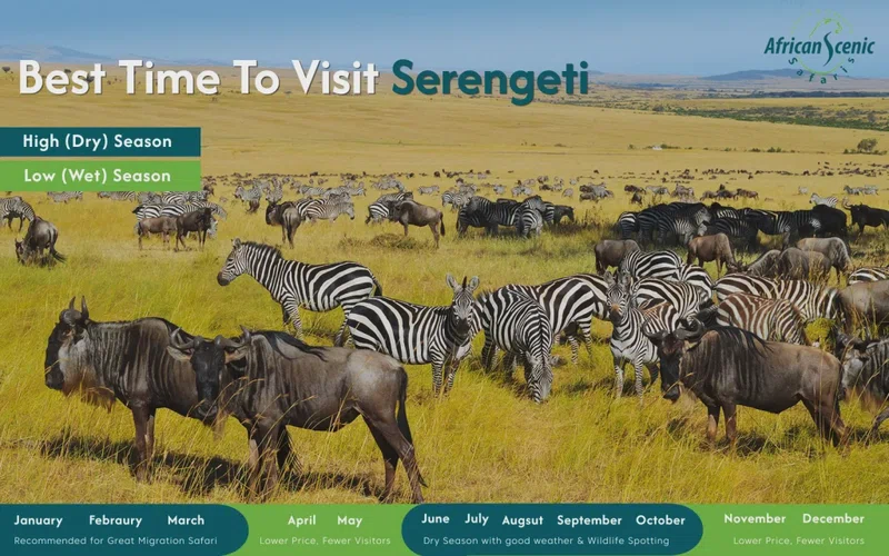 Seronga 2