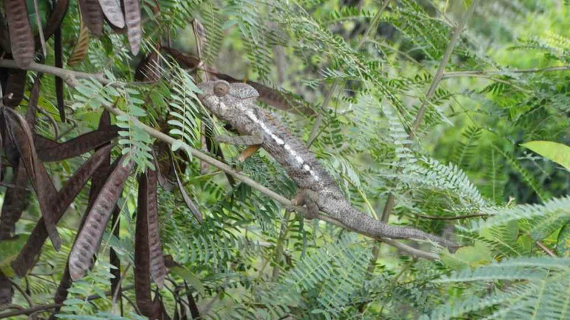 Nosy Hara National Park 2