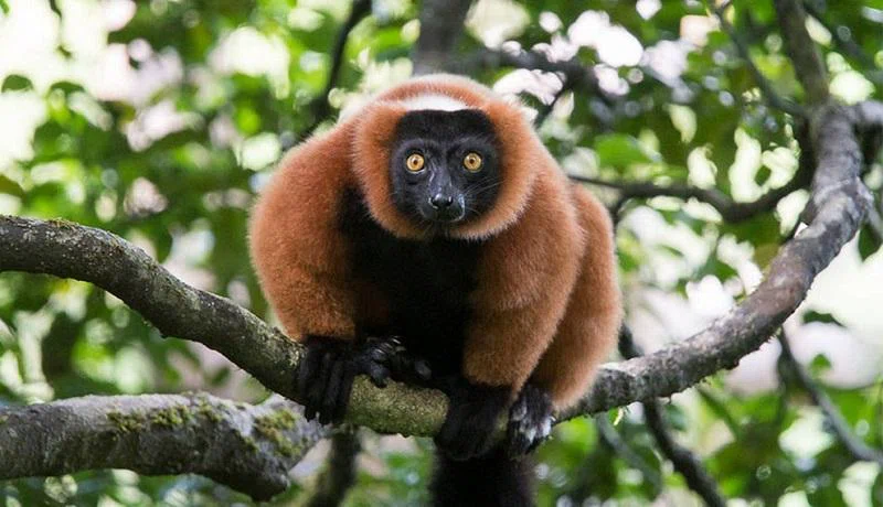 Masoala National Park 3
