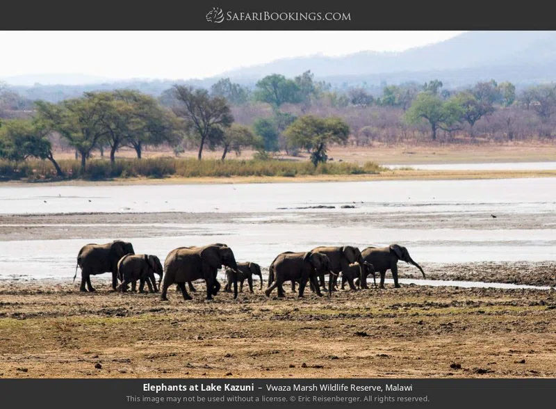 Vwaza Marsh Wildlife Reserve 3