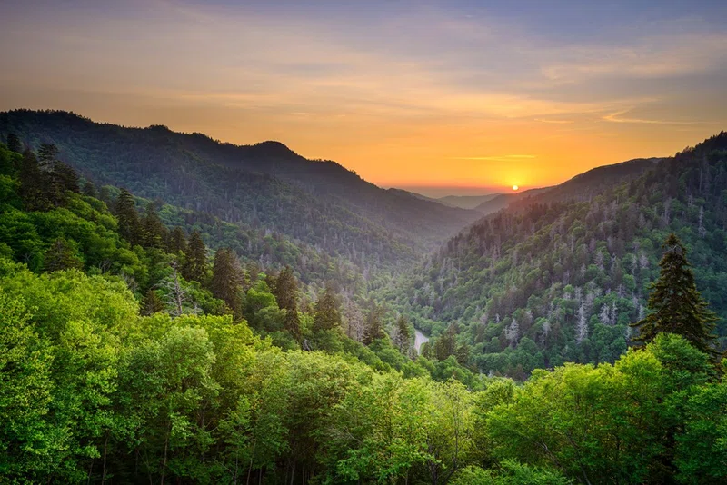 Canyon Nature Park 5