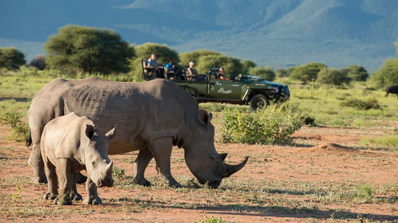 Weenen Game Reserve 4