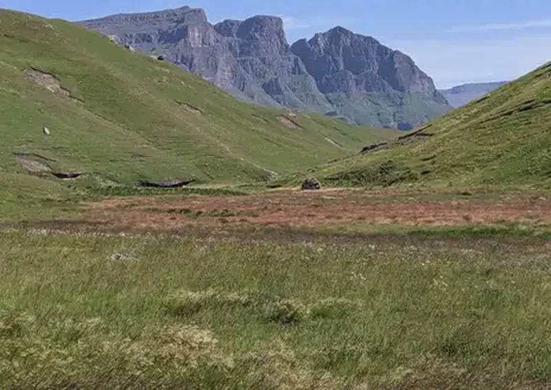 Bokong Nature Reserve 4