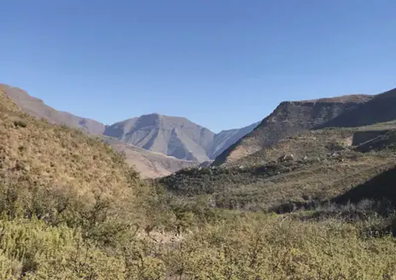 Bokong Nature Reserve 5
