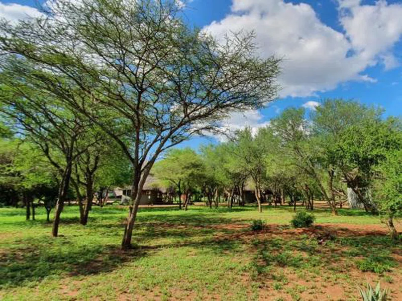 Mkhaya Game Reserve 5