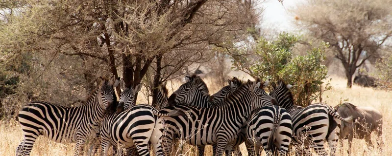 Dodori National Reserve 5