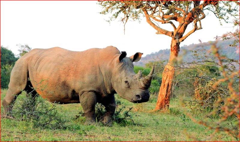 Umhloti Nature Reserve 3