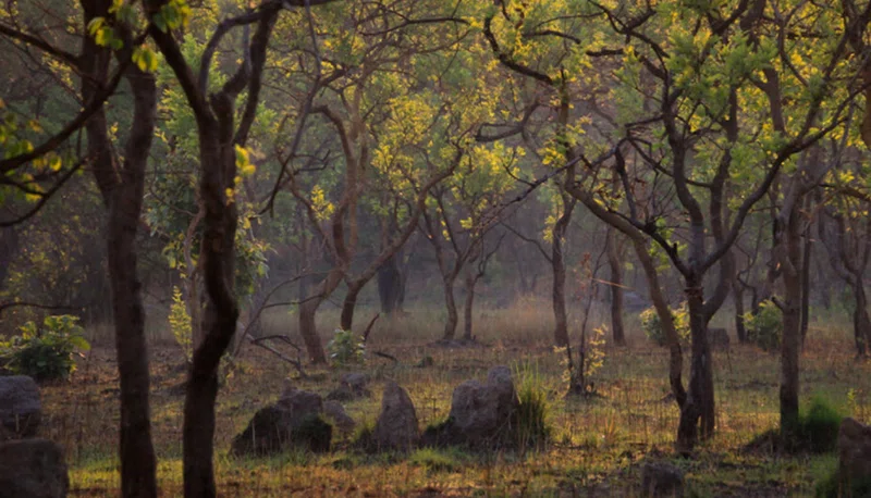 West Lunga National Park 2