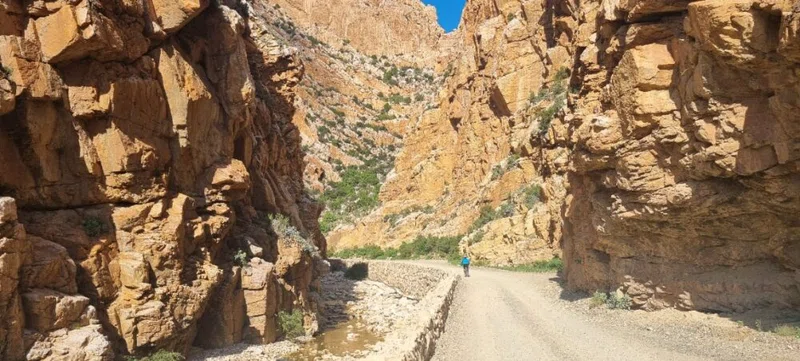 Swartberg Nature Reserve 2