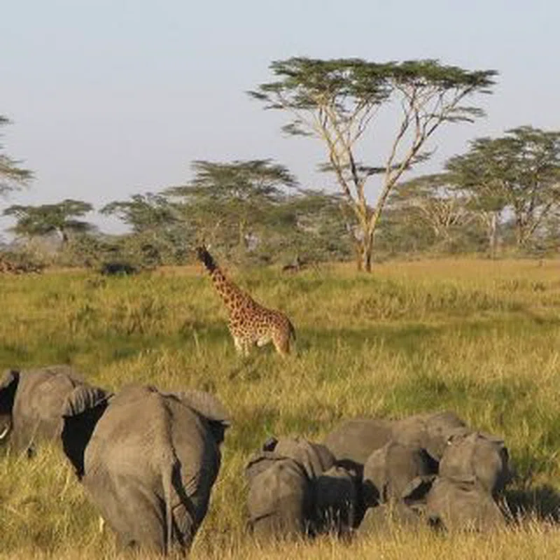 Uganda Wildlife Education Center 4