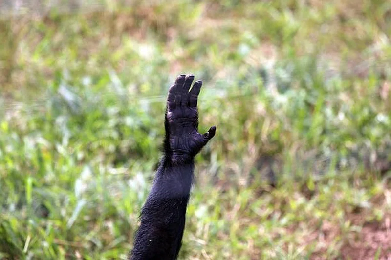 Uganda Wildlife Education Center 3