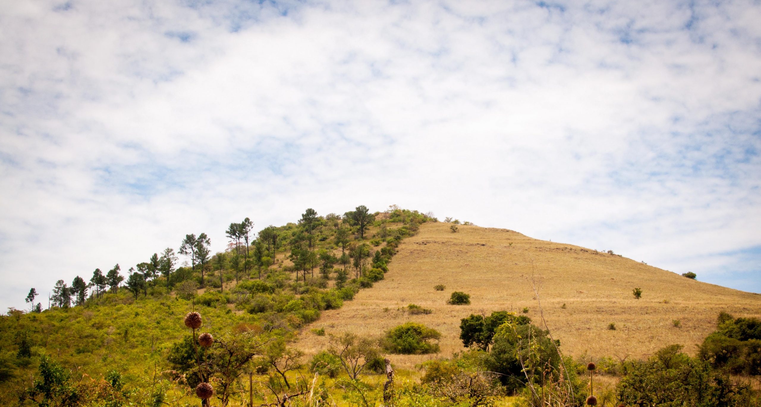 Ruma National Park hill 
